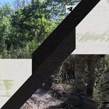 ������� ����� �����������. ������� ������� ����� ���������� "������"�