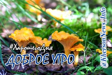 Доброе утро, друзья!. Всех с началом новой трудовой и, увы, боевой недели