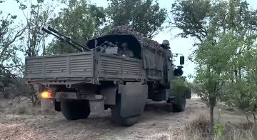 У-23-2 «Днепра» сбивают БПЛА «Лютый» и «Хорнеты» в Херсонской области