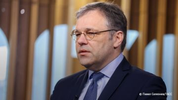 Свыше 260 жителей РФ на минувшей неделе пострадали от ударов ВСУ, 46 человек погибли, сообщил Родион Мирошник