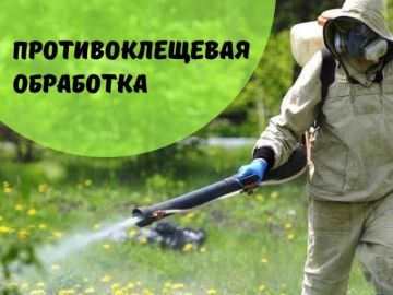 Объявление о проведении акарицидной обработки территорий