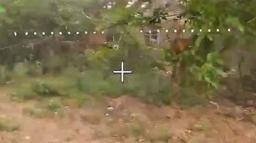 Расчеты Южной группировки войск уничтожают живую силу ВСУ и срывают ротацию сил врага в Краматорском районе