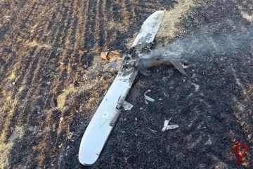 ������������ �������� ���������� �� ����� ���������� �������������
