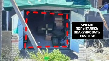 ��������� �������: ��������� ������������� ��� 1430 ������������ ����� ������ ������� ���