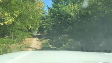 ����������� ���������������� ������� ��������� �������� �������������� ������ ��������