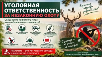 Уголовная ответственность за незаконную охоту