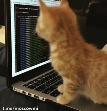 ���� ������������ ���������� �������