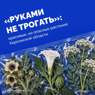 ���������� �����, ������ ������ � �� ���������� �����������, ������, ��������� ������ � �������� ������
