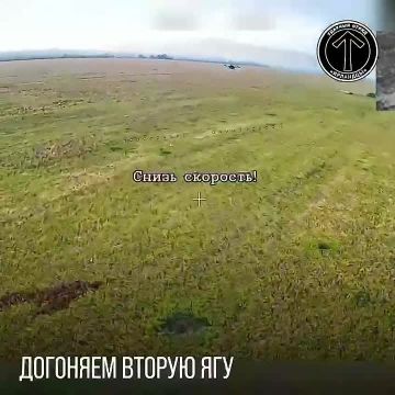 ������ ������ �������� ������ "��������"