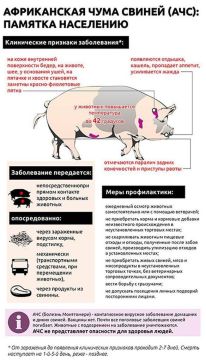 На Бериславщине вспышка африканской чумы свиней, введён карантин