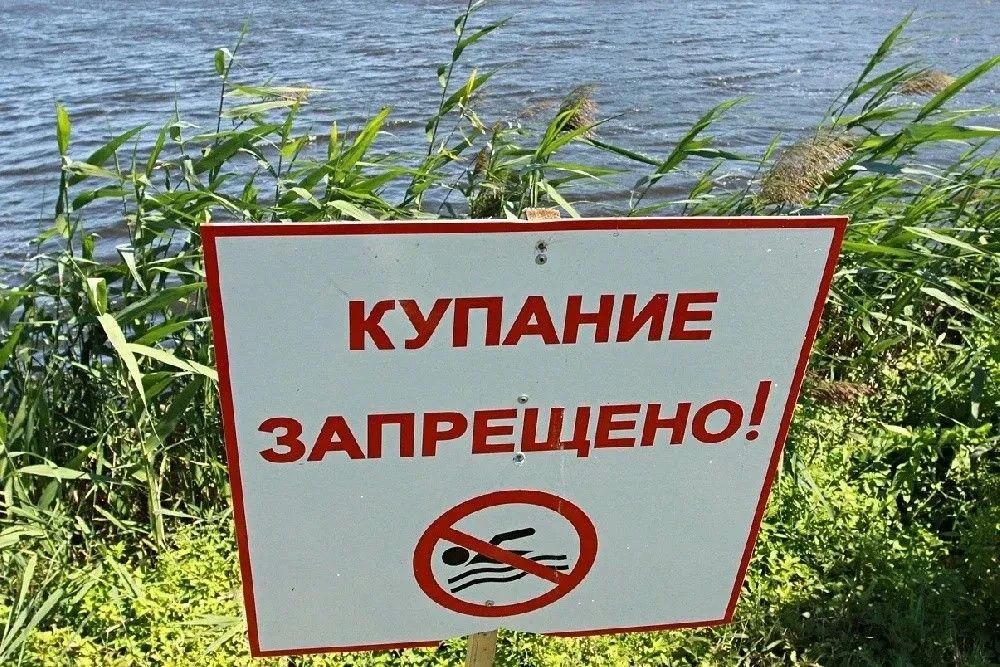 Лабораторией ФБУЗ «Центр гигиены и эпидемиологии в Херсонской области» проведены исследования проб воды поверхностного водоема в точке: «Херсонская область, Новотроицкий муниципальный округ, с. Заозерное, акватория ставка со...