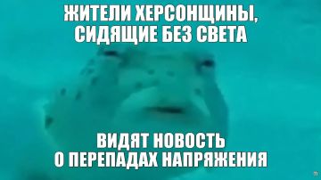 ������ ������� ��� �����. ������� ������ � Telegram �� � MAX