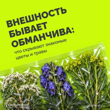 Сорвать букет на лугу или попробовать ягоду — привычные радости на свежем воздухе