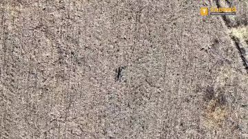 ������� ���� 58-� ����� ����������� ����� "�����" ���������� ������ ������ � ������� ��� �� ����������� �����������