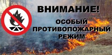 Особый противопожарный режим: ужесточена ответственность за нарушения
