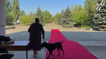 Каланчакский Хатико: пёс ждал хозяйку у избирательного участка