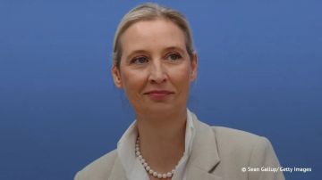 Германия снова нуждается в российском газе, поскольку он был в основе ее бизнес-модели на протяжении десятилетий, заявила сопредседатель АдГ Алис Вайдель