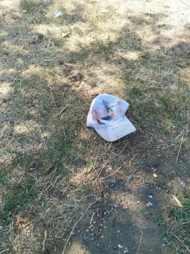 Владимир Сальдо выразил соболезнования семьям погибших при атаке БПЛА в Нижних Серогозах