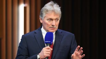 Песков назвал критической гуманитарную обстановку в Алешках