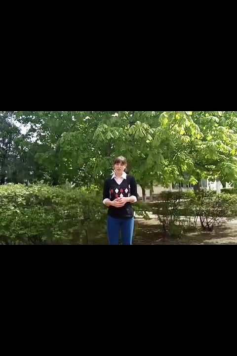 «Мир в ладонях»: мероприятие ко Международному дню мира