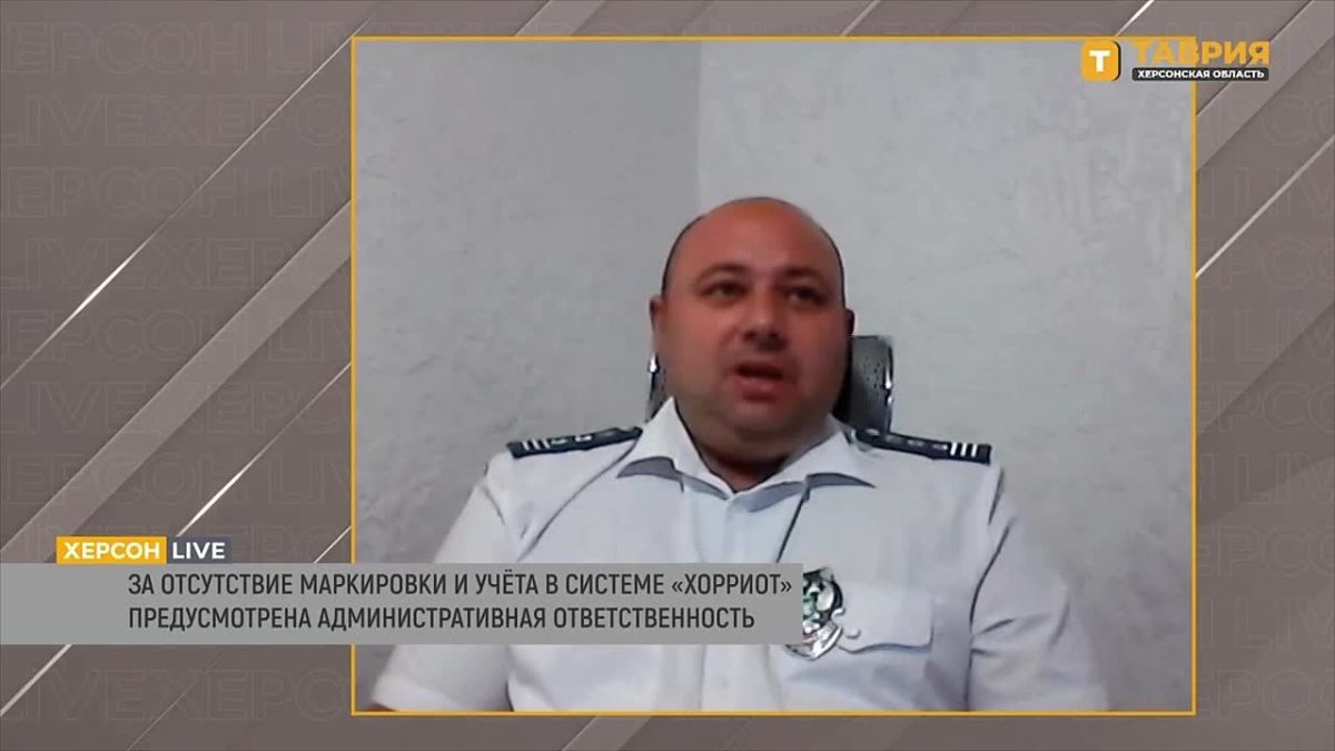Владельцев личных подсобных хозяйств Херсонской области не будут штрафовать за отсутствие маркировки сельхозживотных, сообщил Александр Мацкаль