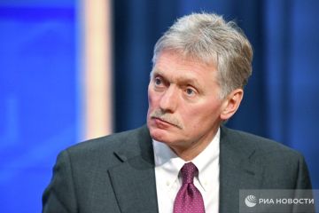 Ситуация в Алешках Херсонской области критическая, киевский режим делает все, чтобы препятствовать поставкам продуктов, заявил Песков