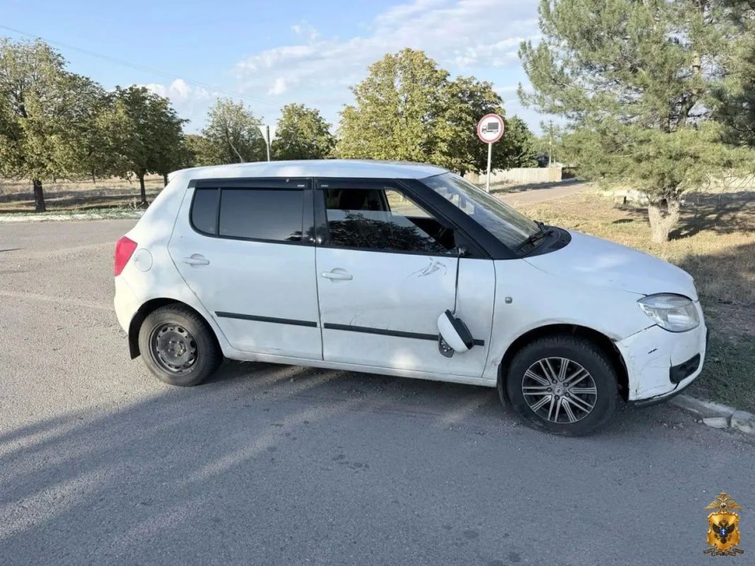 В Чаплинке в ДТП пострадала женщина на электросамокате /