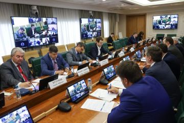 В Совете Федерации обсудили меры поддержки малого и среднего предпринимательства в новых регионах