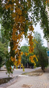 Завтра наступит астрономическая осень