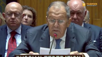 "Гренландия — это не Крым и не Донбасс": Сергей Лавров — о двойных стандартах ООН