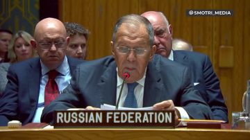 Мы не будем на период переговоров в любом формате делать паузу в СВО — Лавров