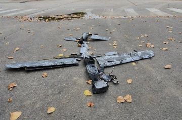 В Новой Каховке группа разминирования успешно обезвредила украинский БПЛА