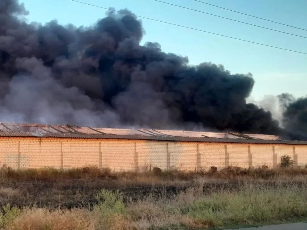 В Алешкинском округе с начала лета было не менее десятка пожаров