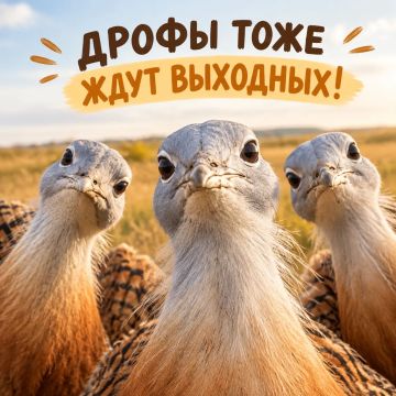 �������, ��� ����� ��� ����������� �� �������� � ����������� �� ����� � ���������, ����� �� ��������