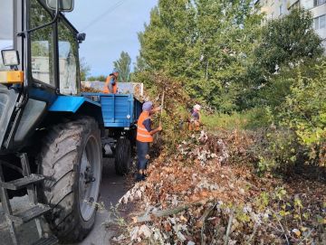 Ежедневная работа сотрудников МБУ «Джарылгач» по благоустройству Скадовска