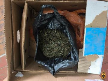 В Каховском округе полицейские изъяли у местного жителя крупную партию марихуаны