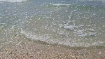 �������� ���� ��������� � ������� ����� ���������
