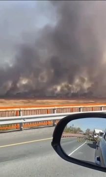 Масштабный пожар бушует в Оренбургской области