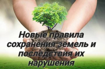 Прокуратура напоминает: новые правила сохранения земель и последствия их нарушения