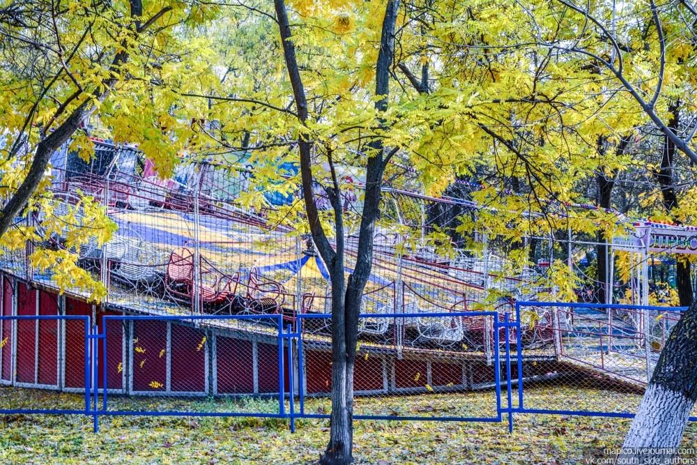 Доброе утро, Херсонщина!. Девочка Осень, словно лиса на охоте