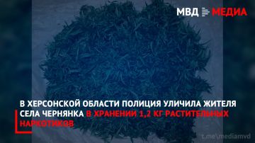 В Херсонской области полиция уличила жителя села Чернянка в хранении 1,2 кг растительных наркотиков