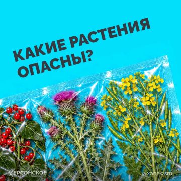 ����� �����, ������� ����� � ������� ������� � �������� ��, ��� � ��� ��������? �� ��������� �� ��� ����� �������� ���������!