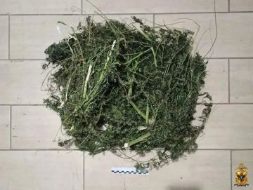 � ���������� ������� ����������� ������ � �������� ������ ������� ������ ���������
