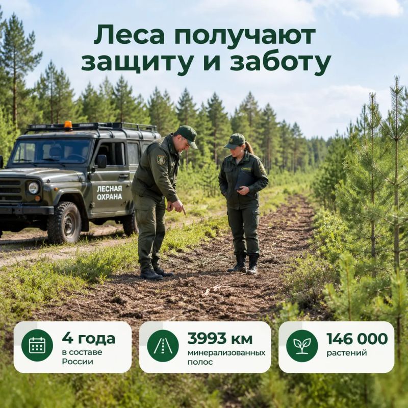 В Херсонской области укрепили лесное хозяйство