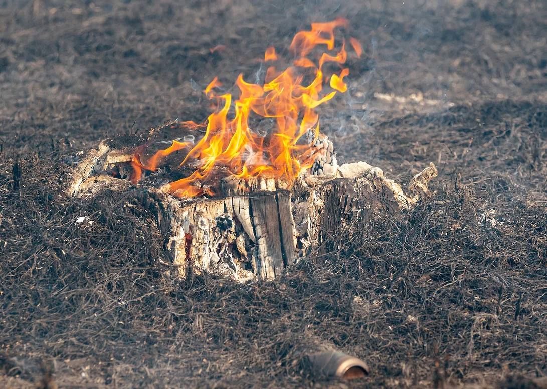 На востоке Оренбуржья ввели режим повышенной готовности из-за ландшафтного пожара