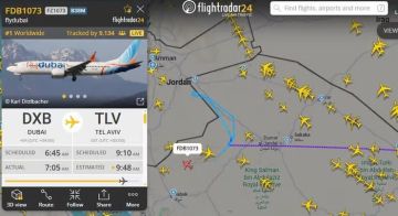 Пилоты рейса flydubai, которые подрались во время полёта, — украинец и русский