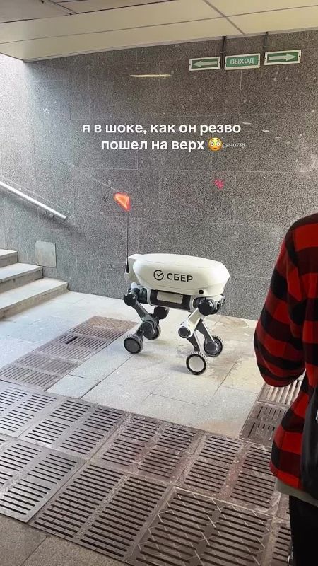 Что за животное придумал Сбер