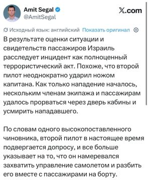 Израильские СМИ сообщают, что второй пилот(хохол) пытался завледеть самолетом