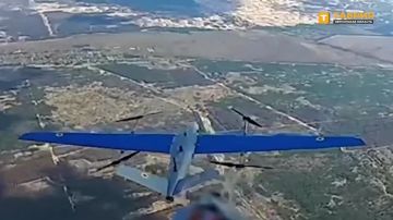 ��������� ����������� ������ ���������� ����������� ��������-��������� ������� ����������� ����� "�����" ��������� ���������� ����� 10-�� ���������� ����