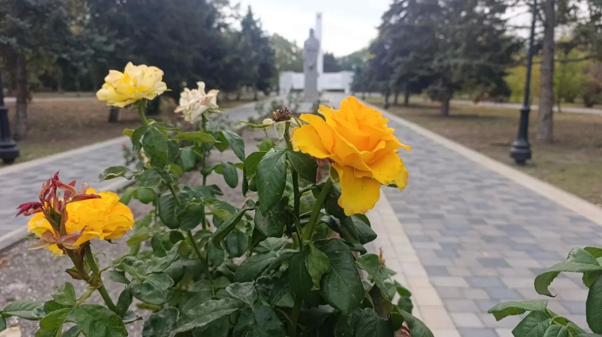 Доброе утро, жители и гости Генического округа!